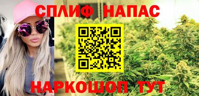 ПСИЛОЦИБИНОВЫЕ ГРИБЫ Краснодар