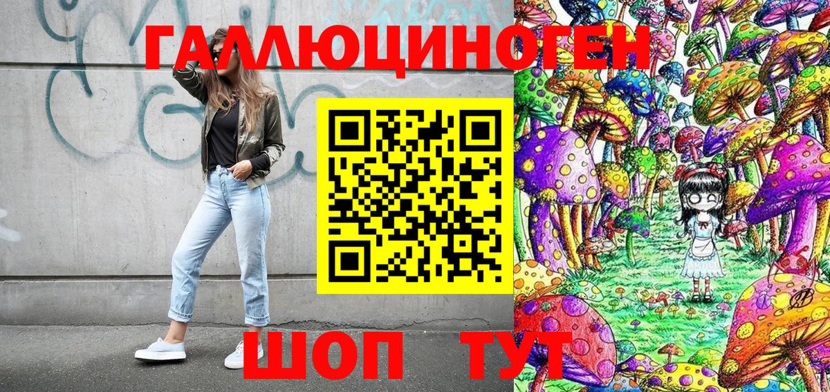 Электросталь  продажа наркотиков  Вход с VPN  Псилоцибиновые грибы прущие грибы 
