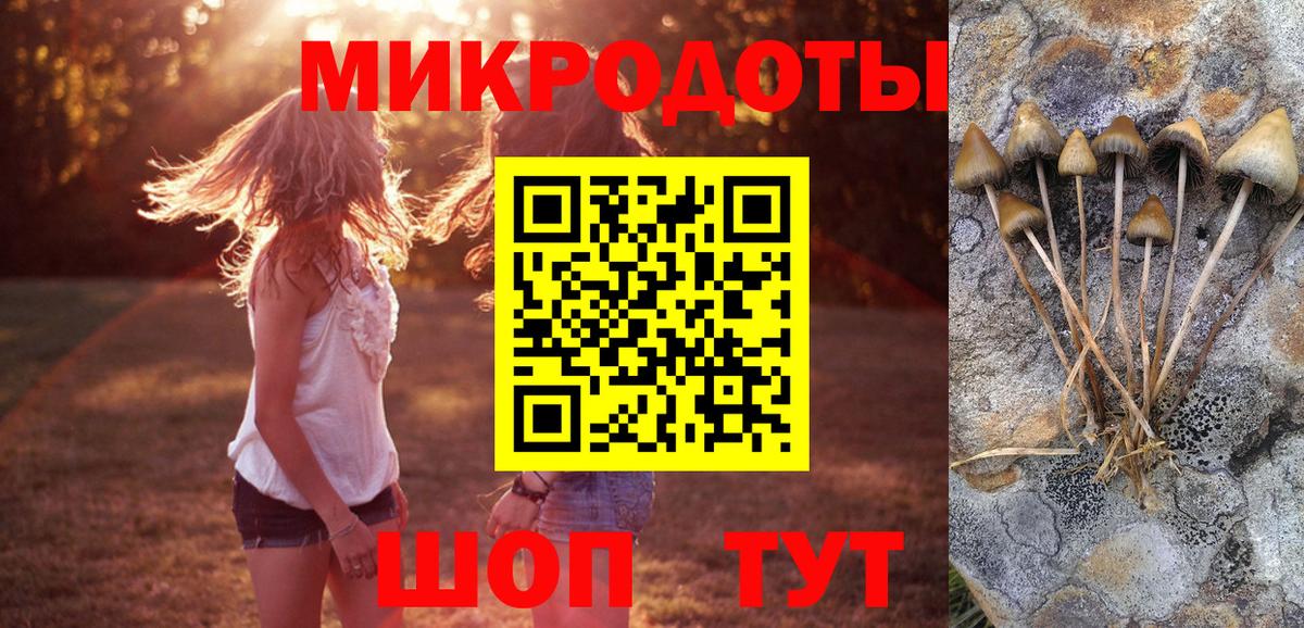 Галлюциногенные грибы Psilocybe Электросталь
